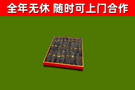 乡宁县回收海参